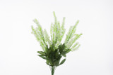 Astilbe Bush x12 - White