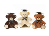 9in Tall Graduation Bears Plush (Assorted)