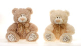 9.5in Tall Fluff Bears with Bows and Bear Paws Plush (Assorted)