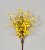 32in Forsythia Bush x5 - Yellow