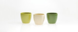 4.5in Tall Colorful Ceramic Pots - Kiwi Moss Cream (Assorted)