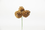 Glitter Pine Cone Pick x3 - Gold (72pk)