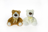 8.5in Tall Joey Bears with Ribbons Plush (Assorted)