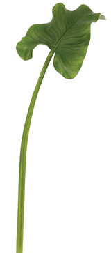 35.5in Calla Lily Leaf