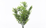 Foliage Bush (Assorted)