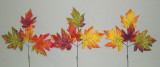 18in Maple Leaf Pick - Assorted