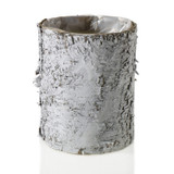 4.75in Wide Birch Tree Cylinder Basket