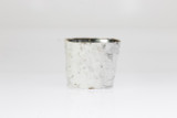 3.75in Wide Birch Tree Pot Cover Basket