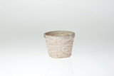 5.5in Wide Fern/Bamboo Pot Cover Basket - Whitewash