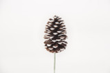 5in Pine Cone Pick - White Tip (36pk)