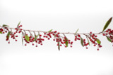 6ft Waterproof Ilex Berry Garland - Mixed Red