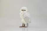 13.5in Tall Silver Snow Owl Figurine