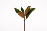14in Magnolia Leaf Pick