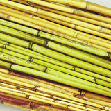 3.5ft Dried River Cane - Natural (25pk)