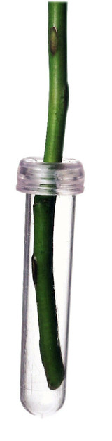 3in Aquatube Water Tubes (Bag of 100)