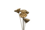 2-3in Lotus Pod on 18in Stem - Gold (5pk)