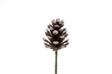 7in Long Faux Pine Cone Pick - White Tip (12pk)