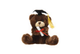 6in Tall Graduation Bears with Hats and Diplomas Plush  Vase Hugging (Assorted)