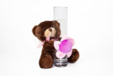 6in Tall Bears with Flowers Plush  Vase Hugging (Assorted)