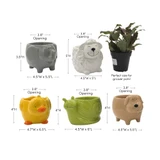 6in Long Baby Animal Ceramic Pots (Set of 5)