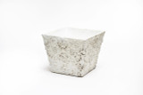 5.5in Montauk Square Ceramic Pot - Distressed White