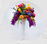 Sessions with Suzanne, ep. 15