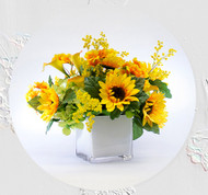 Sessions with Suzanne, ep. 13