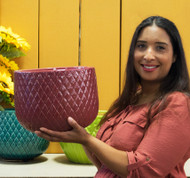 Staff Picks: Large Ceramic Assorted Pots