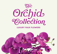 Orchid Collection 2024