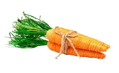 13in Cord Wrapped Sisal Rope Carrot Bundle