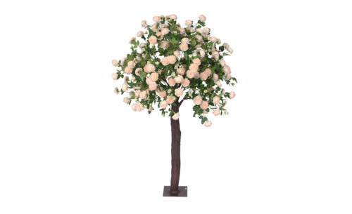 6.5ft Peony Tree - Cream