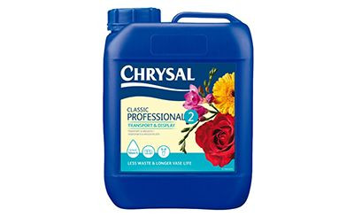 2.5 Gallon Chrysal #2 Transport & Display