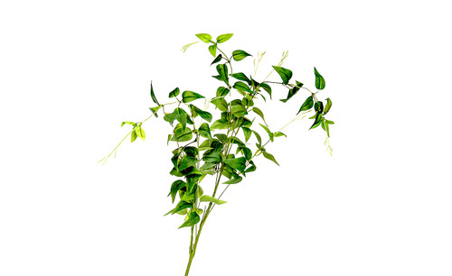 46in Jasmine Vine Spray