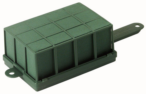 Oasis Floracage Grande (Box of 12)