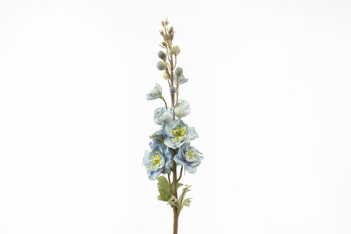 27in Dried Delphinium Stem