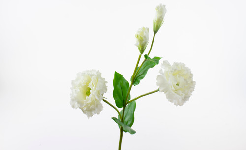 24.5in Real Touch Lisianthus Spray