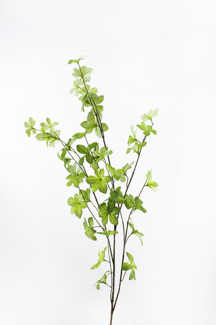 45in Star Ivy Branch