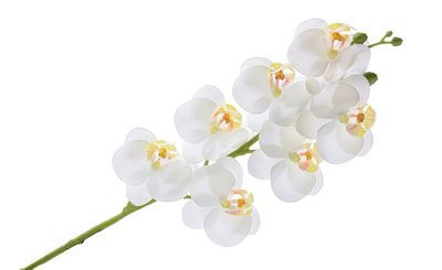 27in Natural Touch Orchid Spray - White