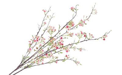 37in Wax Flower Bush - Cream Pink