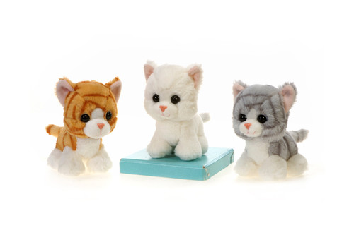 7in Tall Bean Bag Cats Plush (Assorted)