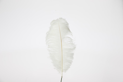 17in Feather Ostrich Drab - White