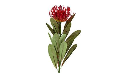 28in Pin Cushion Protea - Flame