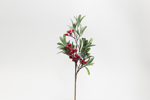 21in Red Berry with Mistletoe Spray