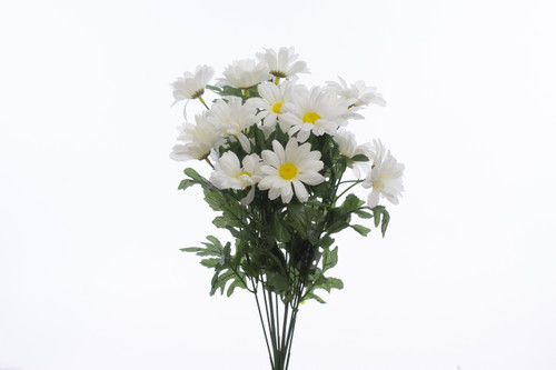 Daisy Bush x12 - White