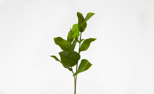 25in Salal Leaf Stem