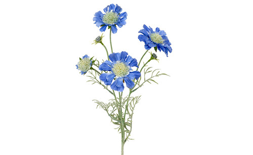 24in Scabiosa Spray - Blue