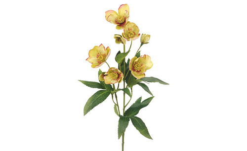 22in Helleborus Spray - Green
