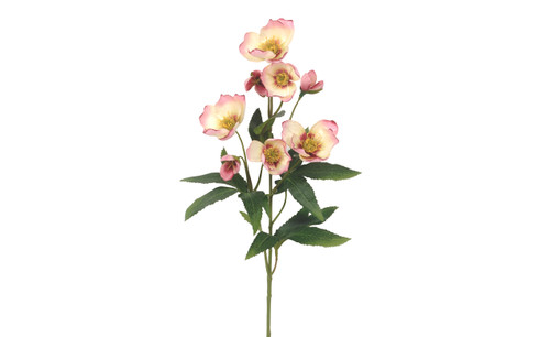 22in Helleborus Spray - Pink