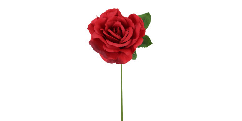 13in Short Rose Stem - Red