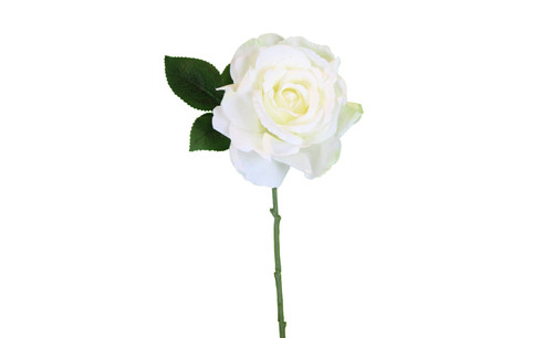13in Short Rose Stem - White